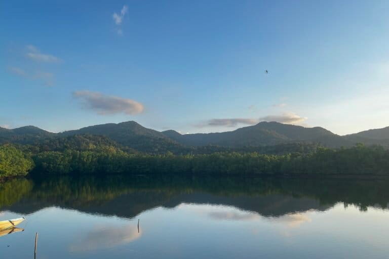 Hamparan mangrove terancam pembangunan terminal khusus di Desa Waworaha, Kecamatan Soropia, Kabupaten Konawe, Sulawesi Tenggara. Foto: La Ode Risman Hermawan/Mongabay Indonesia