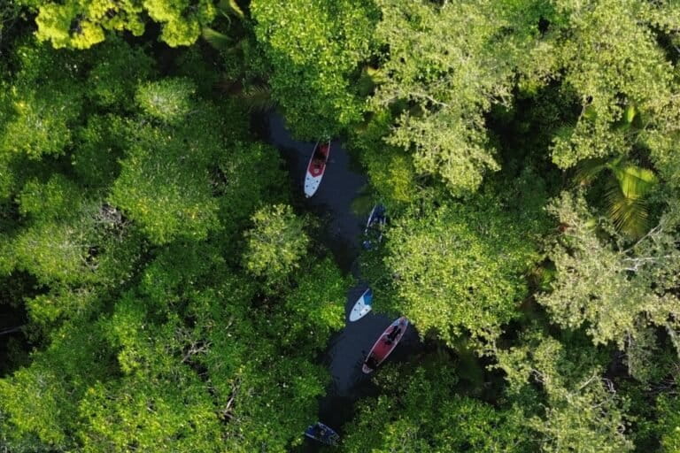 Wisata susur mangrove dengan paddle boat di Pantai Anggalo, Desa Waworaha, Kecamatan Soropia, Kabupaten Konawe, Sulawesi Tenggara, menjadi lokasi rencana pembangunan terminal khusus. Foto: Dok. Sulman Sukrih.