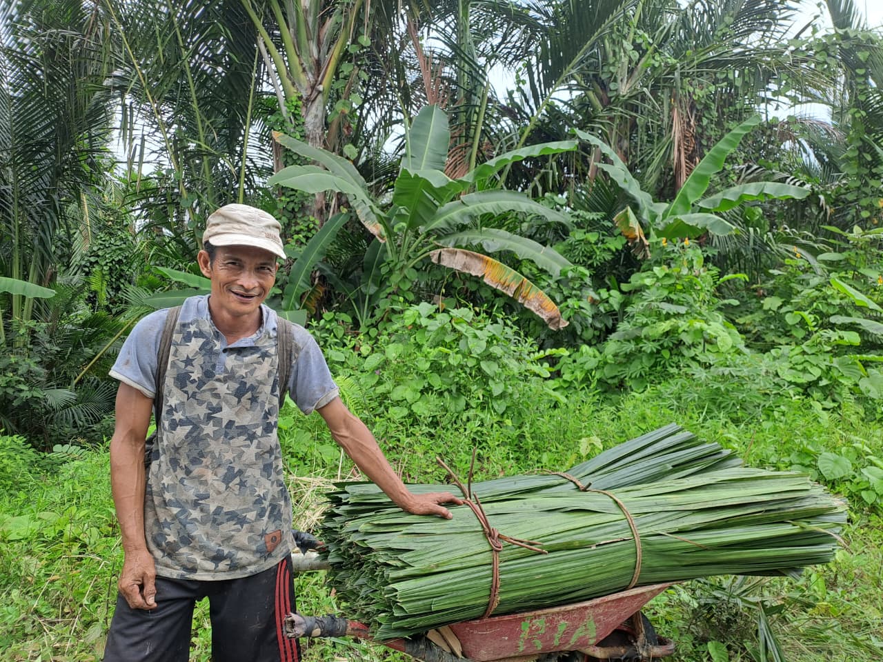 Pangan Olahan Sagu Terancam Hilang dari Mentawai