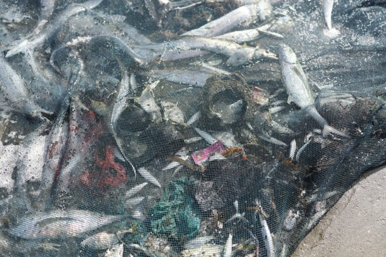 Sampah plastik terjaring bersama ikan dalam pukat nelayan di Gampong Jawa. Foto: Nurul Hasanah/Mongabay Indonesia