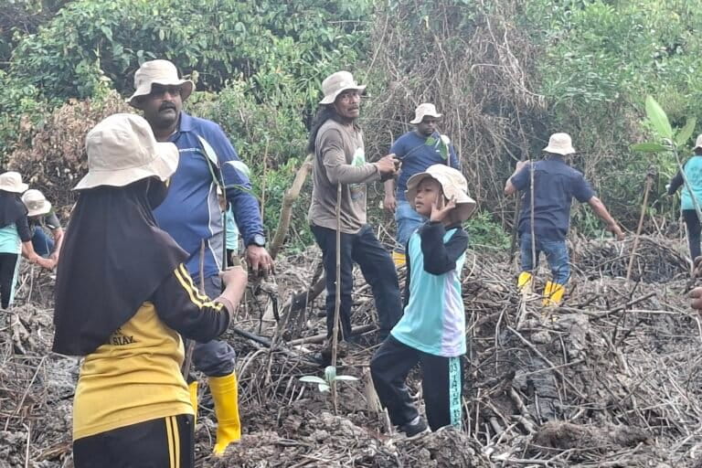 Harisyah, kaos cokelat, tanam mangrove bersama murid sekolah Tanjung Kuras, Sungai Apit, Siak, Riau. Foto Suryadi, Mongabay Indonesia.