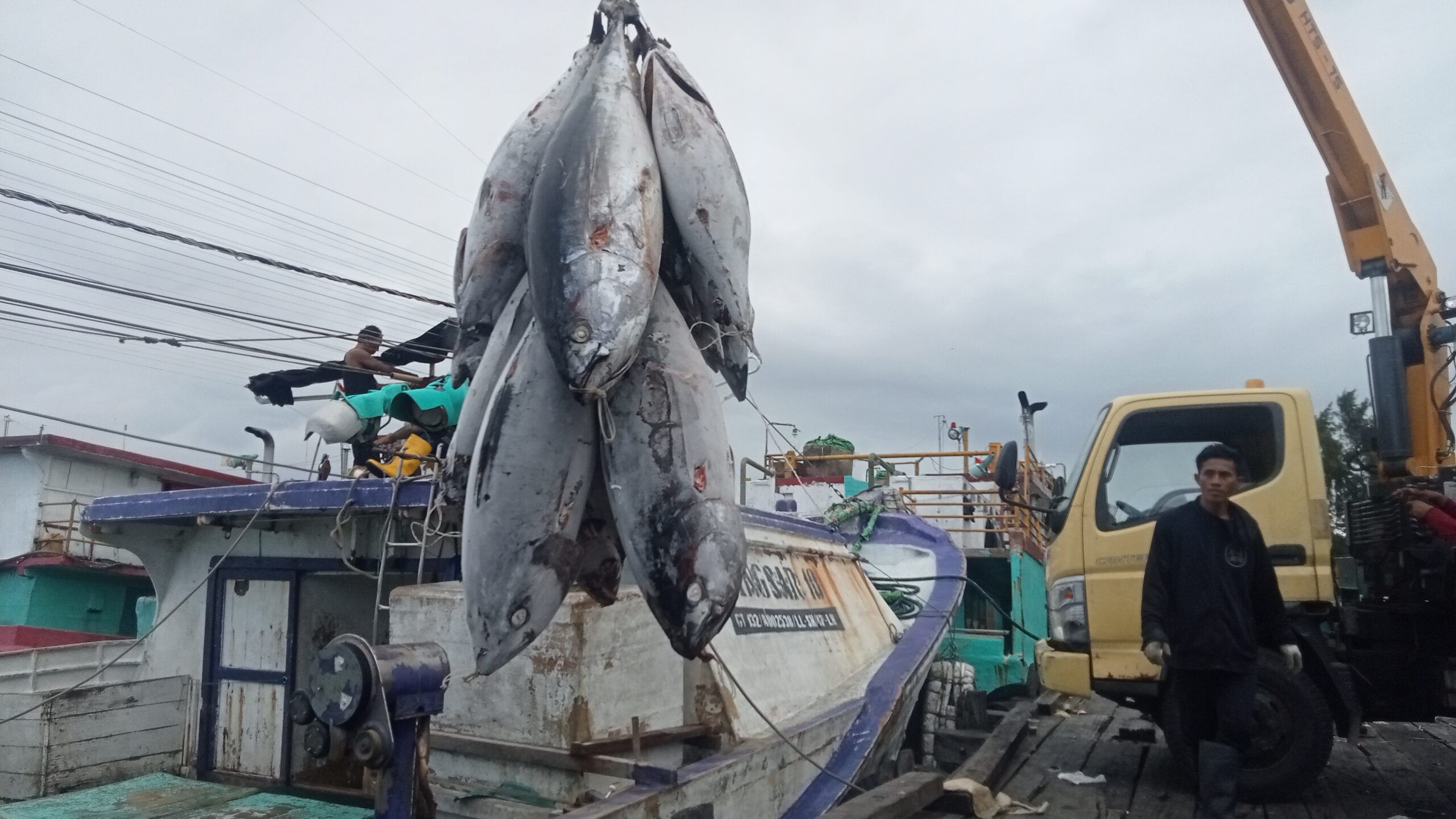 Palung Gelap Industri Tuna Benoa - Mongabay.co.id