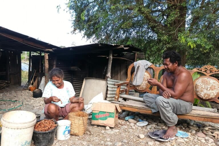 Ulrikus Siku menemani istrinya membersihkan buah asam di halaman rumah mereka di Desa Fatuketi. Aktivitas ini jadi pekerjaan sampingan untuk menambah pendapatan keluarga ketika hasil panen hortikultura sudah tak produktif. Foto Mario Sara/Mongabay Indonesia.