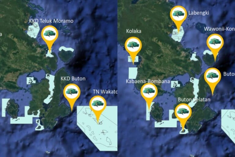 Peta sebaran napoleon di Sulawesi Tenggara. Data: Balai Pengelolaan Kelautan Denpasar.