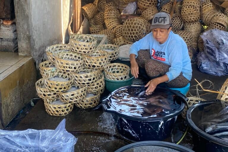 Nyoman Poni meletakkan ikan ke keranjang dan menaburkan garam di atas ikan. Foto: I Gusti Ayu Septiari/ Mongabay Indonesia
