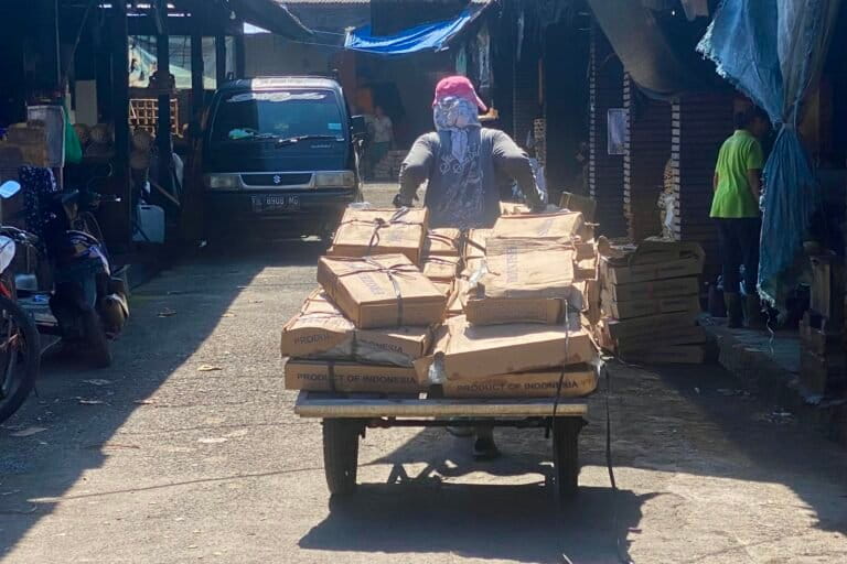 Perempuan di Kusamba bekerja di sentra pemindangan. Ada yang bekerja sebagai ojek, buruh angkut, dan pengolah ikan. Kardus yang diangkut berisi ikan yang sudah dibekukan. Foto: I Gusti Ayu Septiari/ Mongabay Indonesia