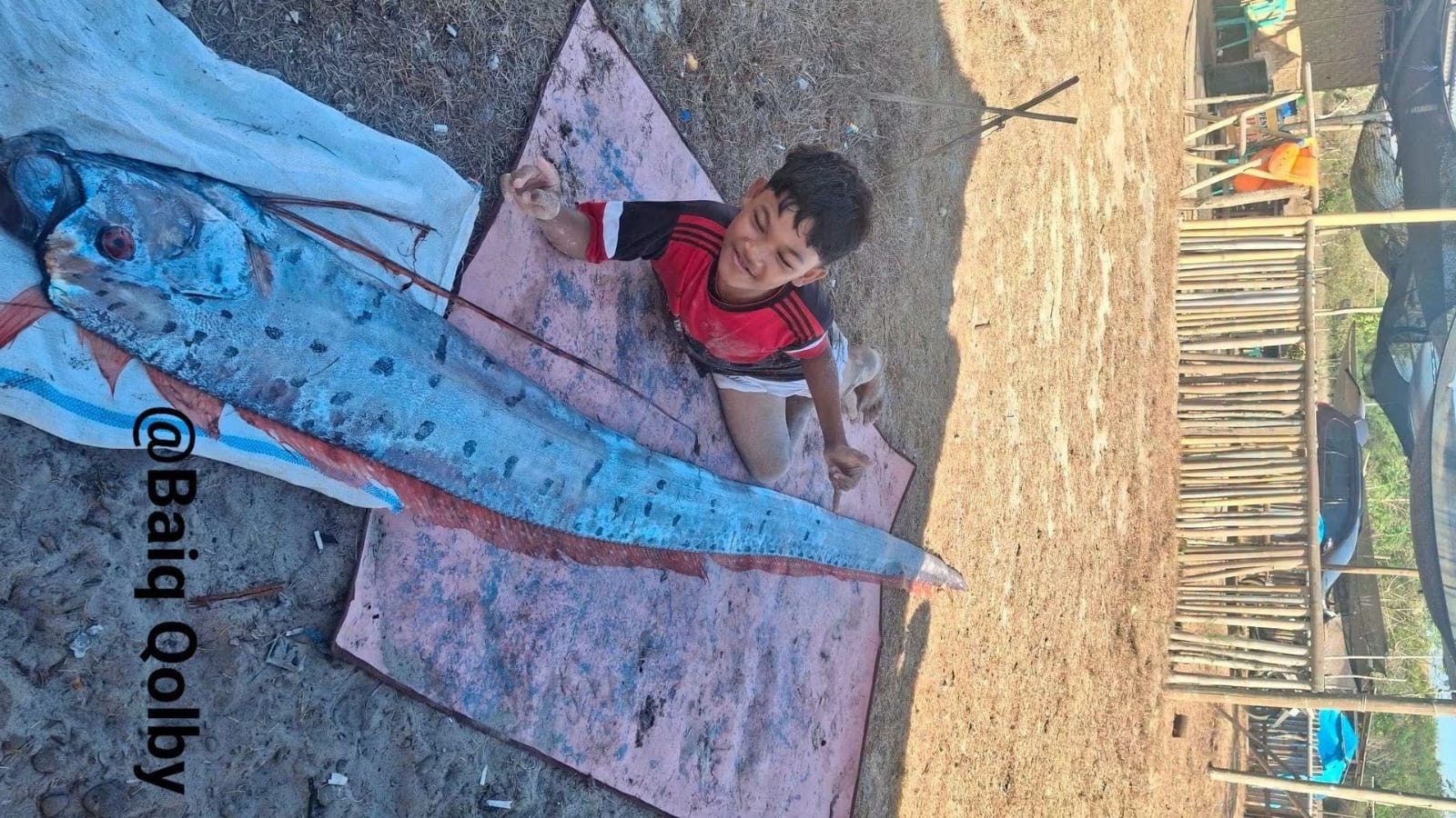 Mitologi Masyarakat Lombok Ketika Oarfish Terdampar