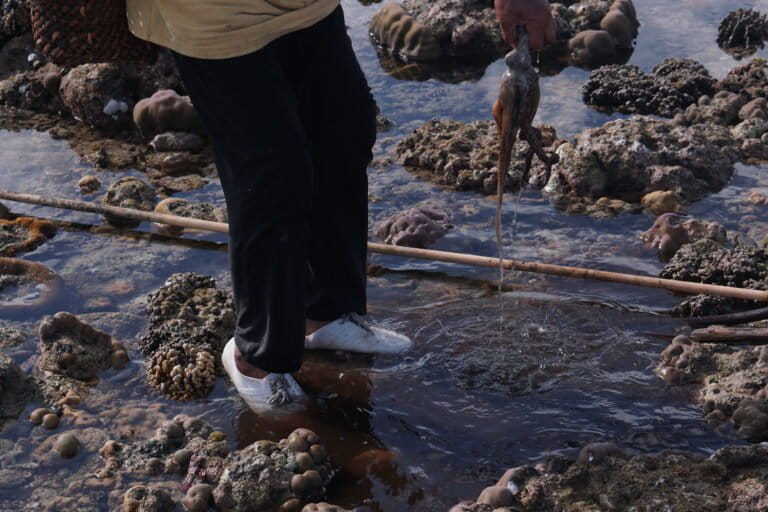 Wa Niia mengangkat gurita hasil tangkapannya di pesisir Tekonea, Kecamatan Wawonii Timur, Kabupaten Konawe Kepulauan (Konkep), Sulawesi Tenggara (Sultra). Foto: La Ode Risman Hermawan/Mongabay Indonesia