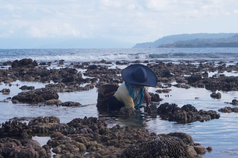 Wa Niia mencari Terangisi, merupakan sebutan lokal ikan pasir (Xyrichtys novacula), di sekitar terumbu karang saat air surut di pesisir Tekonea, Kecamatan Wawonii Timur, Kabupaten Konawe Kepulauan (Konkep), Sulawesi Tenggara (Sultra). Foto: La Ode Risman Hermawan/Mongabay Indonesia