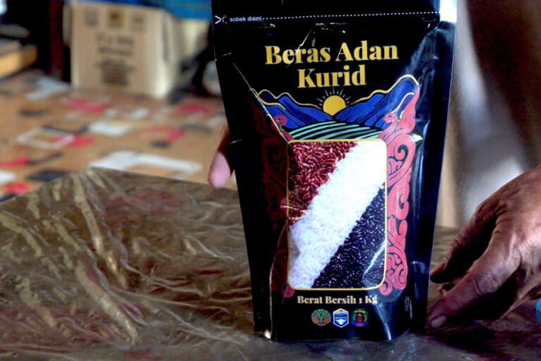 Beras Adan Krayan, Pangan Andalan Masyarakat Dayak Lundayeh di Bentang Kayan Mentarang