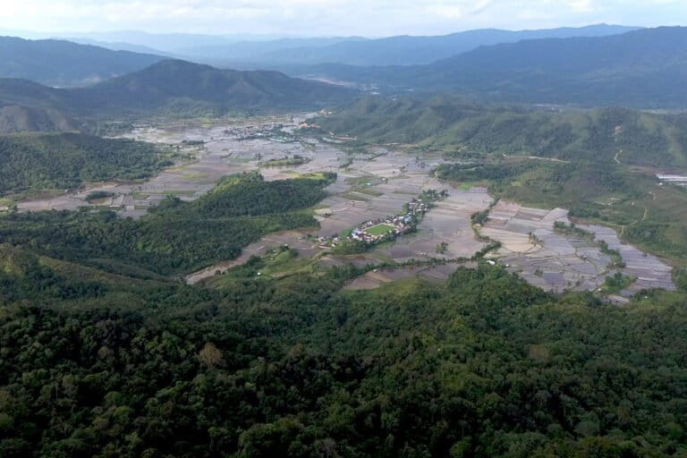 Beras Adan Krayan, Pangan Andalan Masyarakat Dayak Lundayeh di Bentang Kayan Mentarang