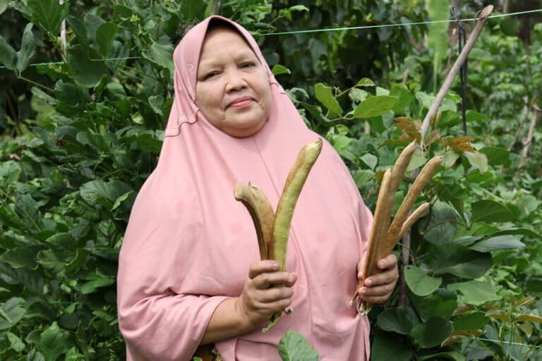 sejumlah petani sibuk memetik polong-polongan koro pedang (Canavalia ensiformis) di Desa Lamteuba, Kabupaten Aceh Besar. Foto: Nurul Hasanah/ Mongabay Indonesia