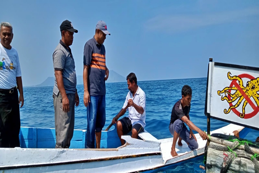 Inisiatif Nelayan Gurita Ende Jaga Laut Flores Selatan