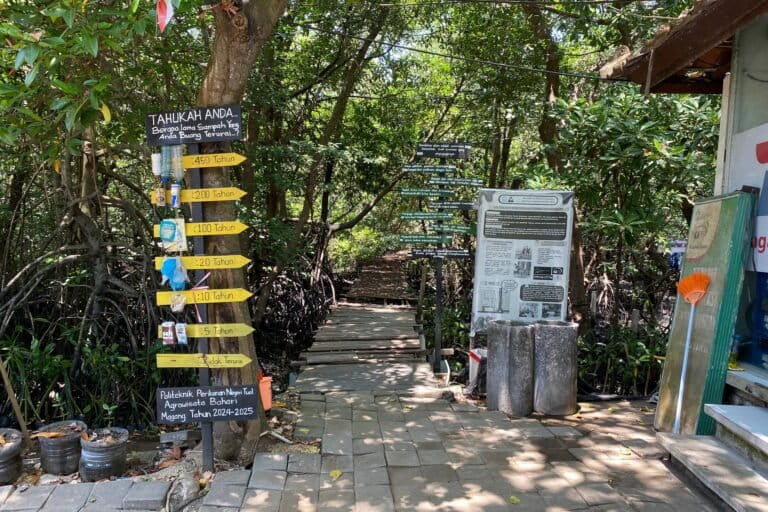 Lokasi pembibitan mangrove dan ekowisata mangrove Kelompok Nelayan Wanasari. Foto: I Gusti Ayu Septiari/ Mongabay Indonesia