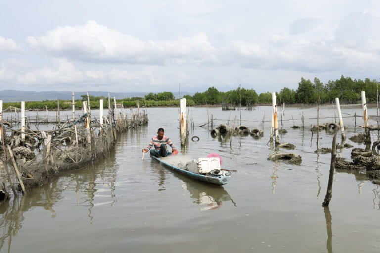 Kasim saat mencari ikan belanak di kawasan rawa mangrove yang membentang dari Alue Naga hingga Baet. Foto: Nurul Hasanah/Mongabay Indonesia