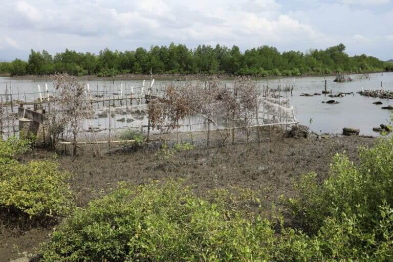 Keramba Kasim untuk budidaya tiram. Mereka menggunakan bambu dan ban bekas untuk media penempatan tiram. Foto: Nurul Hasanah/ Mongabay Indonesia