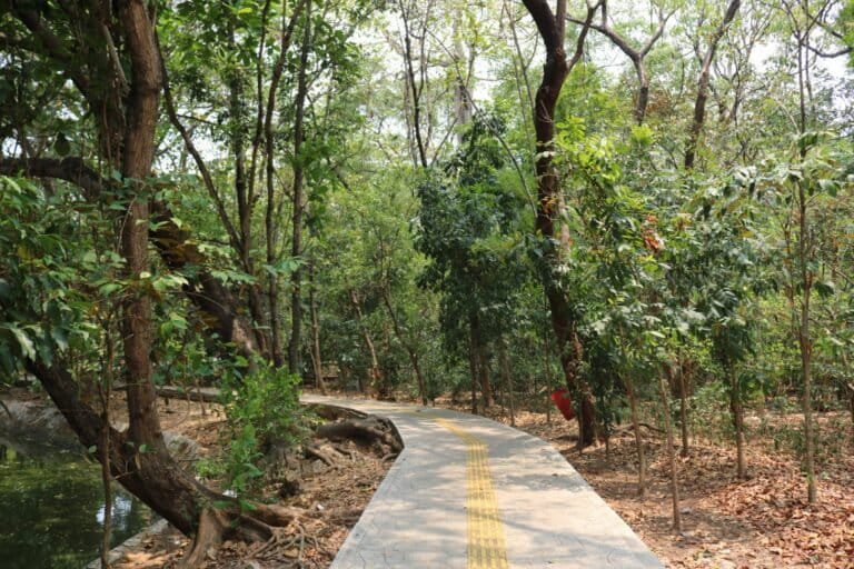 Hutan Kota Srengseng