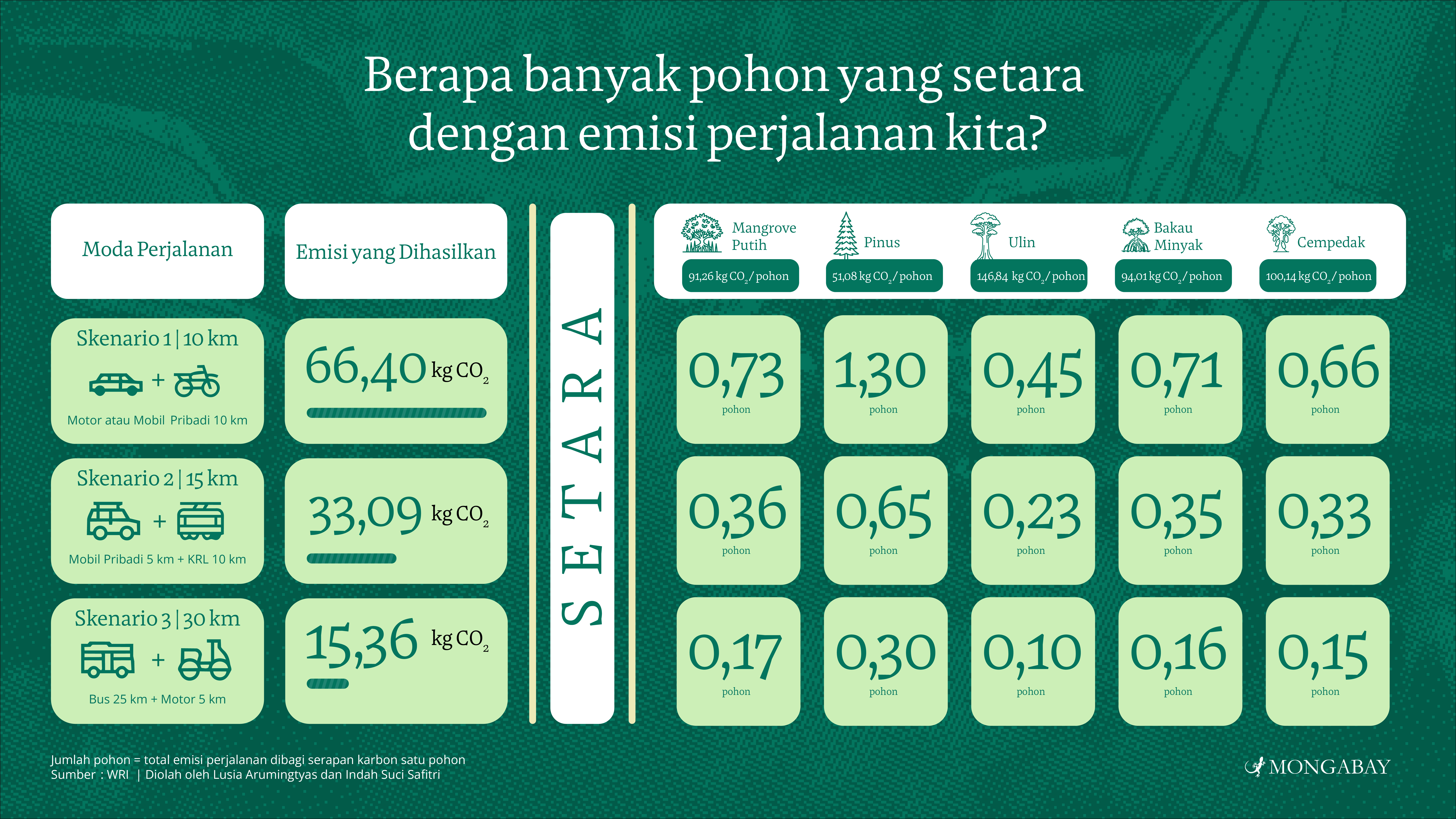 Grafis emisi transportasi dengan jumlah pohon yang perlu kita tanam. Desain grafis oleh Hidayaturohman M. Suri 