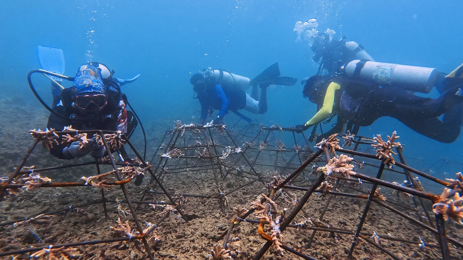 Masyarakat Negeri Liang Jaga Laut Lewat Kewang-Sasi