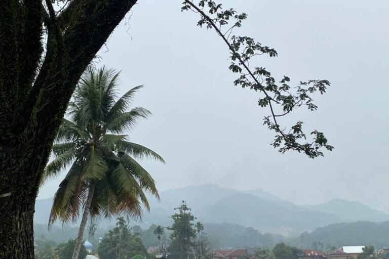 Kabut Asap Kebakaran Hutan Mulai Selimuti Sumatera Utara